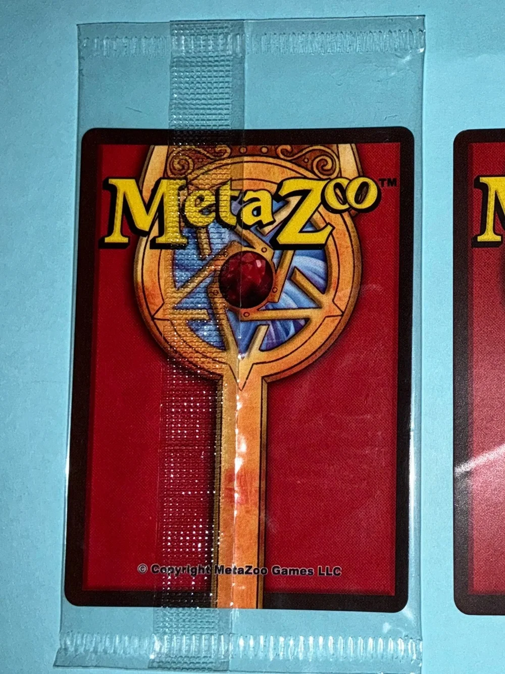 Meta Zoo 2021 this looked